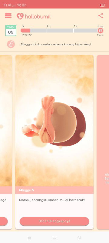 seputar kehamilan muda