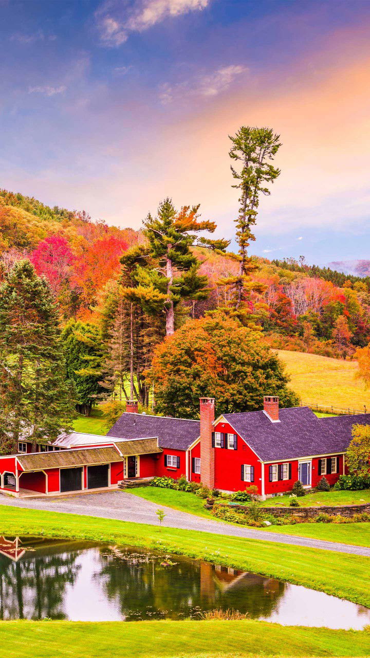 Sanj Taak profile icon