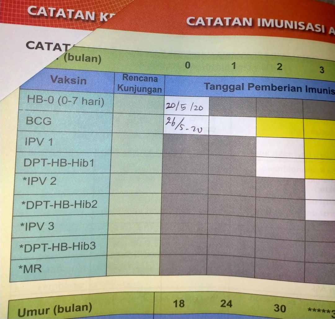 IMUNISASI/VAKSIN BAYI