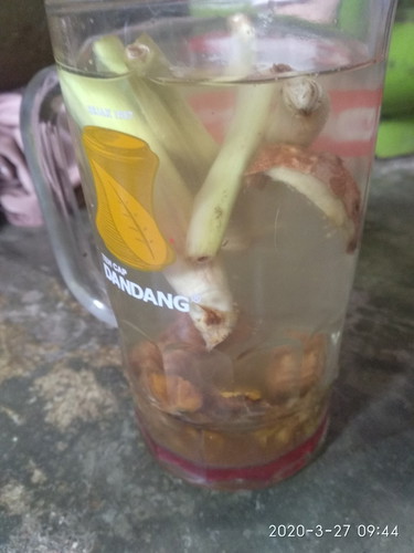 boleh ga ya minum ini
