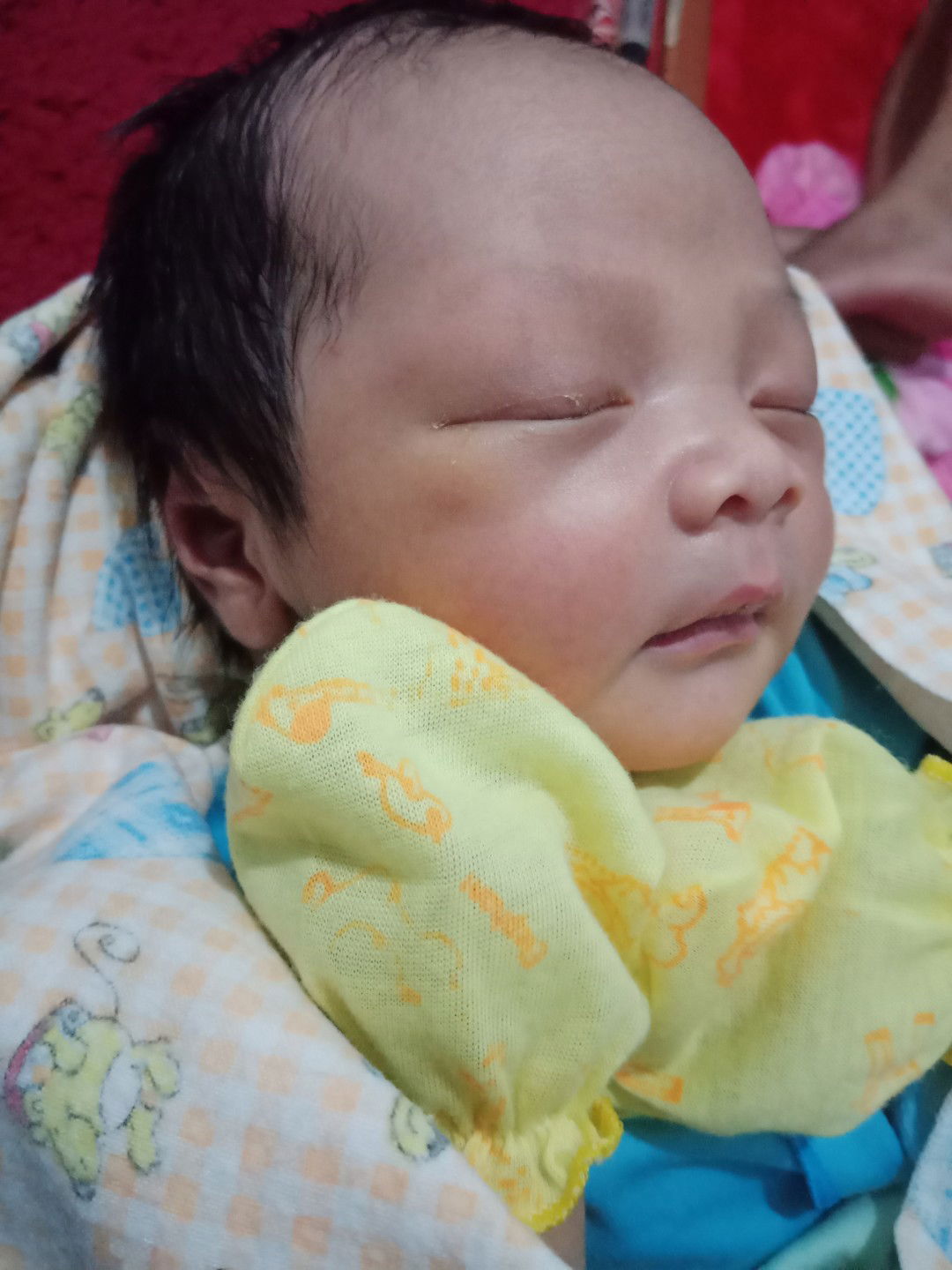 Dianna Semita profile icon