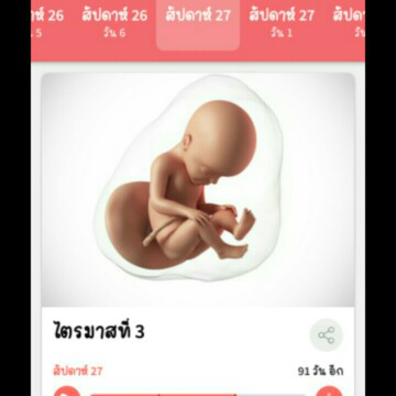 27สัปดาห์