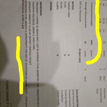 BPS Ultrasound results