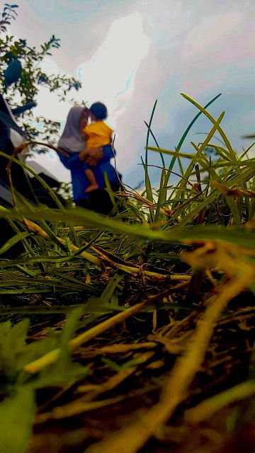 NeLy nur erni profile icon