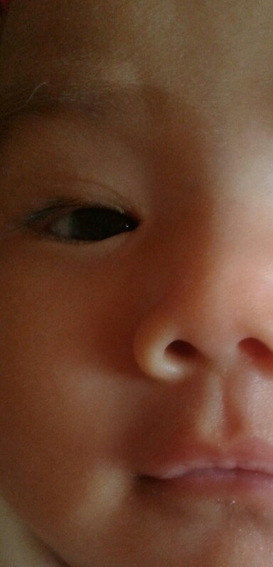 bulu putih