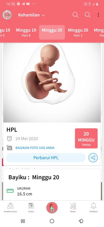 hamil.20minggu