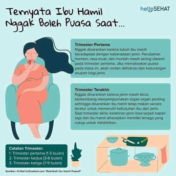 kehamilan