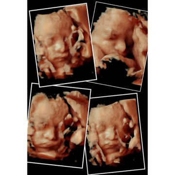 Tiara Mei profile icon