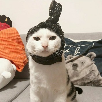 Perlengkapan bayi