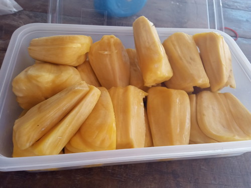 กินขนุนได้ไหม