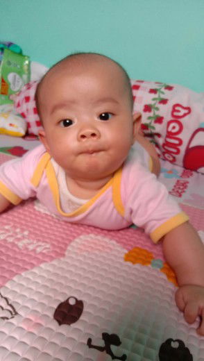 Nirahay Halim profile icon