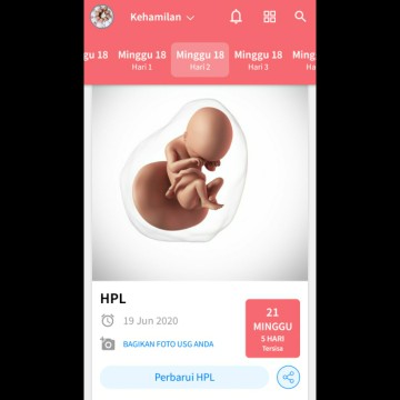 sudah merasakan apa saja di minggu ke 18