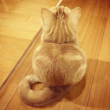 Nur Umirah profile icon