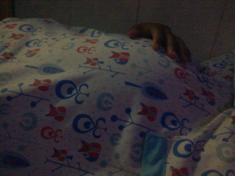 mungkinkah beby twins?