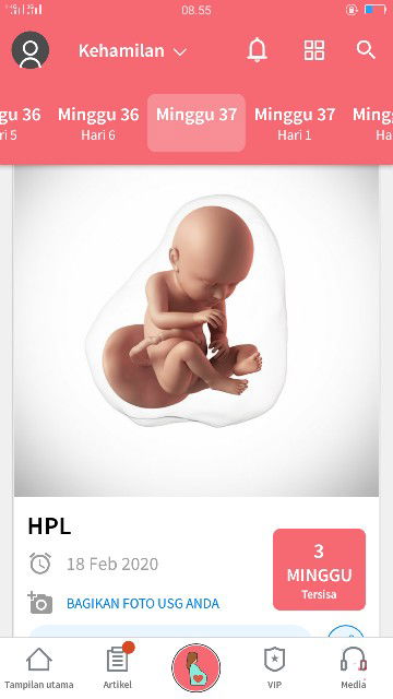 menunggu getaran cinta