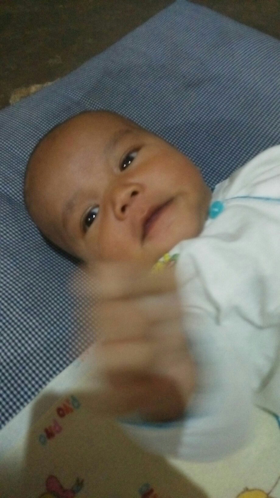 Bella Amanda profile icon