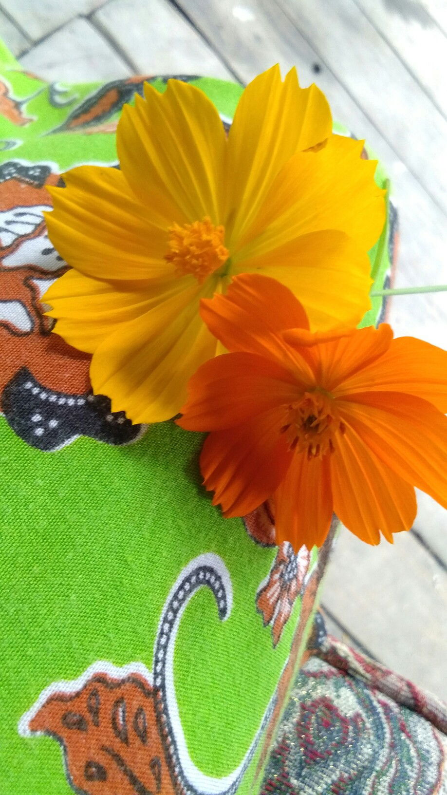 Evi Nur Laili profile icon