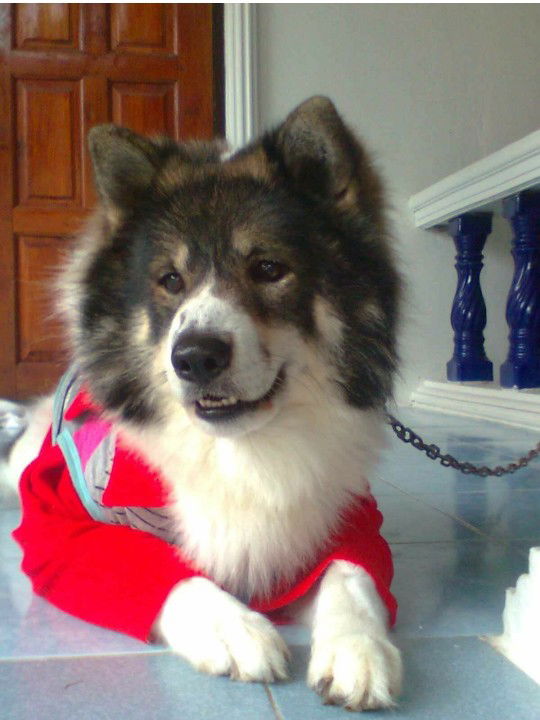 Mee. suwan profile icon