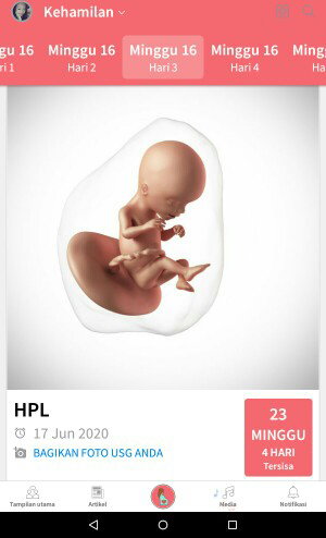 kehamilan