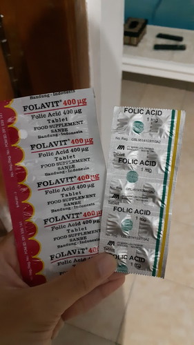 KANDUNGAN ASAM FOLAT