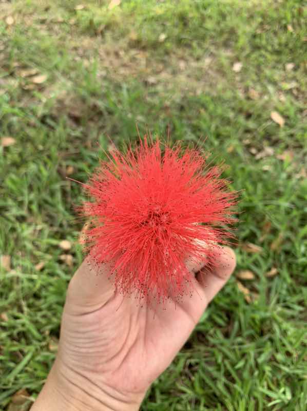 Fahyad Unpatichai profile icon