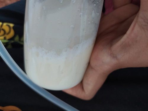 asi berbusa