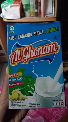 kehamilan