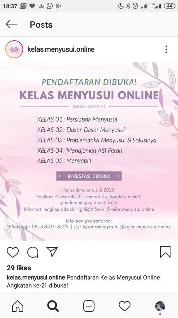 Kelas Menyusui Online