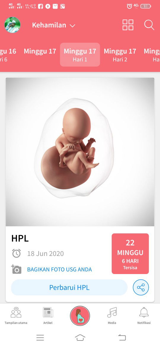 17mnggu perut msih kecil