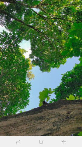 Alya Putri profile icon