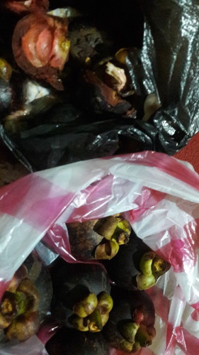 aman gak mkn buah manggis buat bumil bun?soalnya lginngidam itu