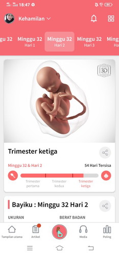 apakah sdh mulai masuk pnggul