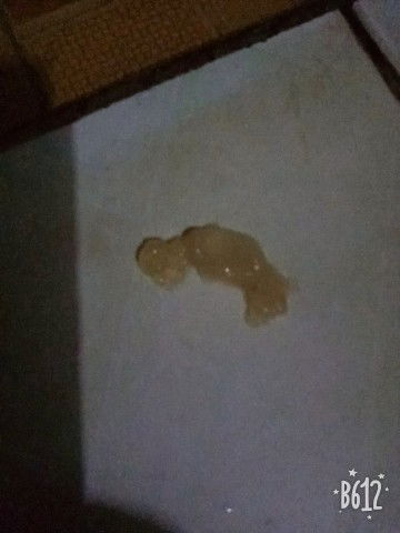 cái này là gì ạ