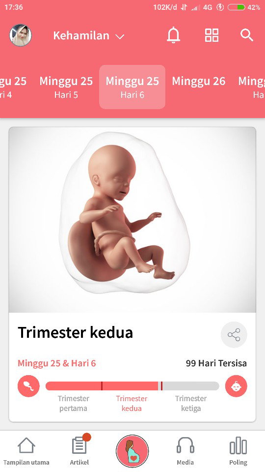 gerak bayi