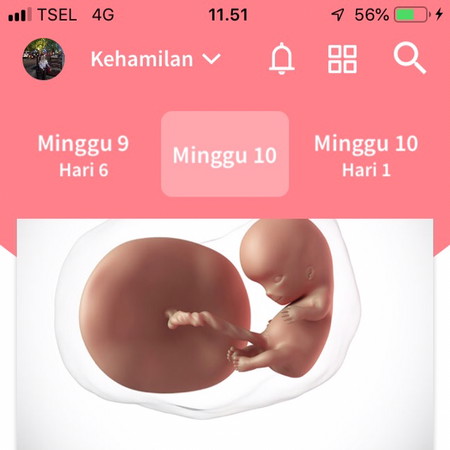 HPL agustus