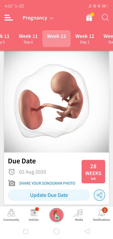 Miles Pedro profile icon