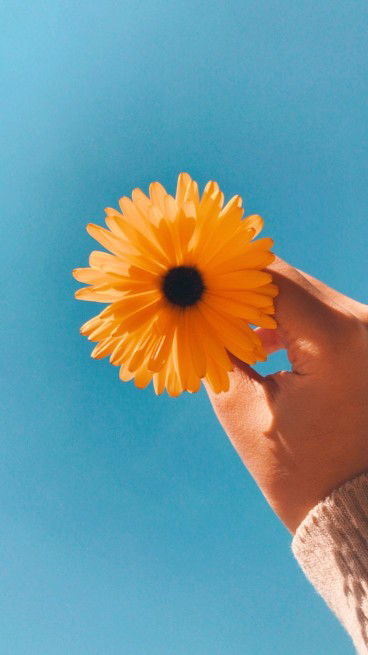 Nurma Ummu Ishaq profile icon