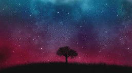 Alya Sekar Hapsari profile icon