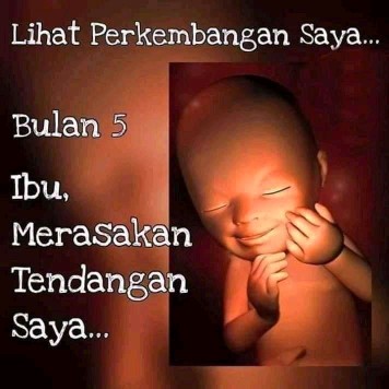 gmn perkembangan janin