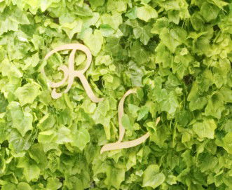 listiawati profile icon