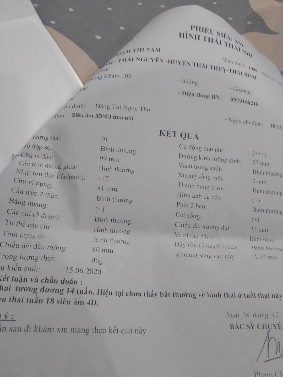 Bầu 14w
