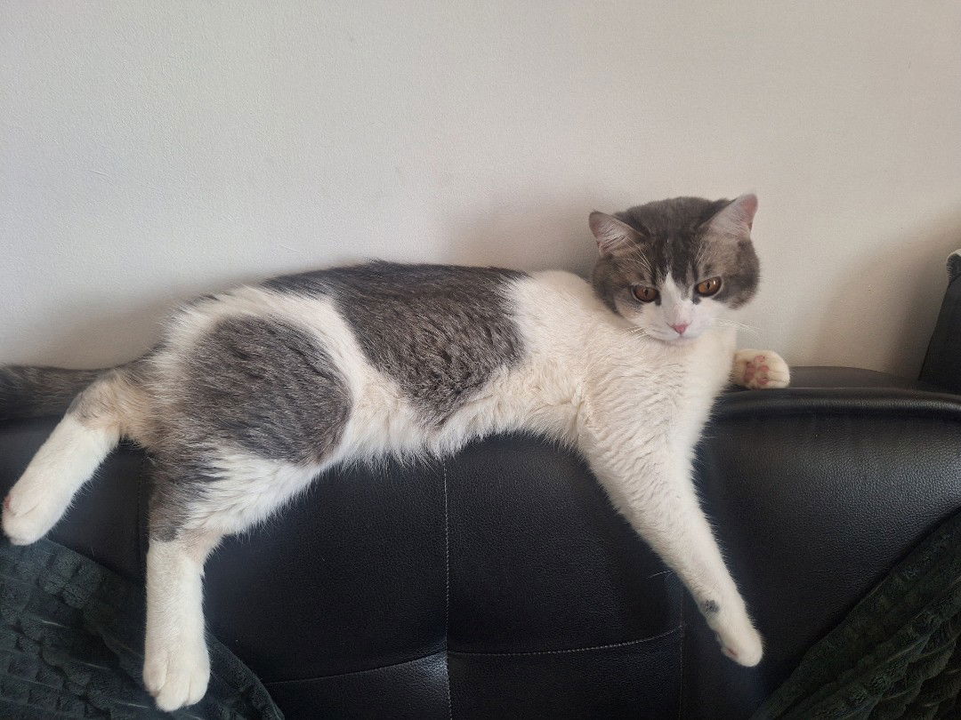 Phatchanan Kunyawattanapong profile icon