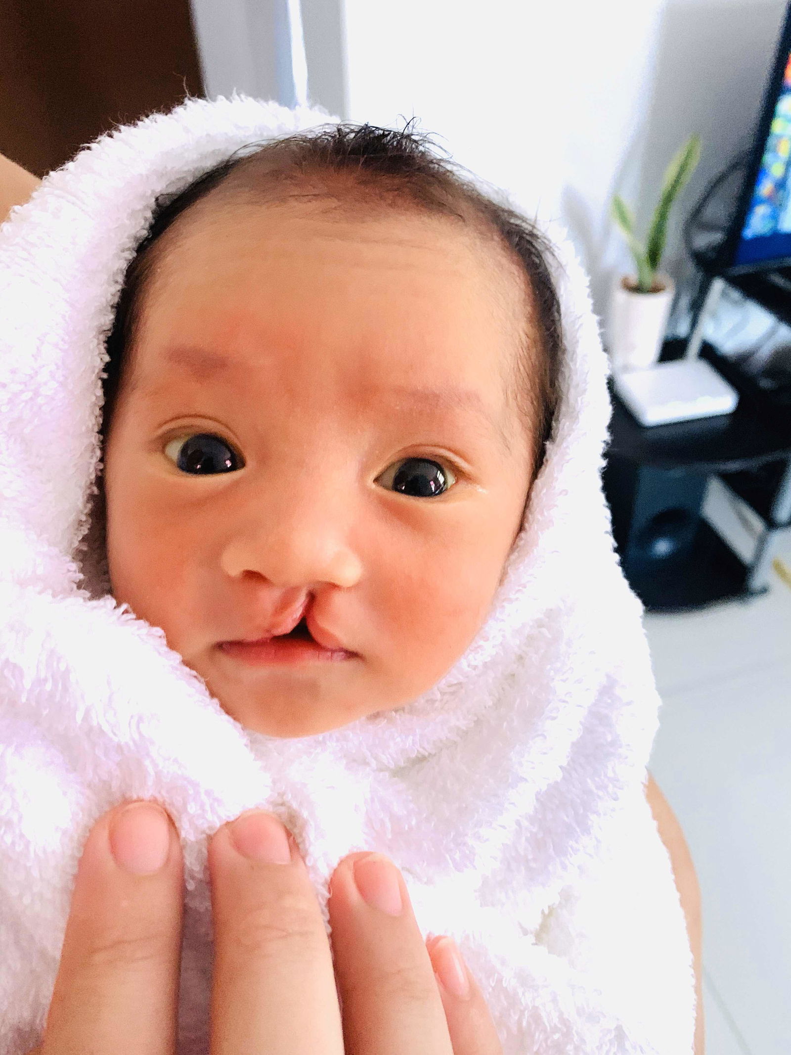 Zen Aborde profile icon