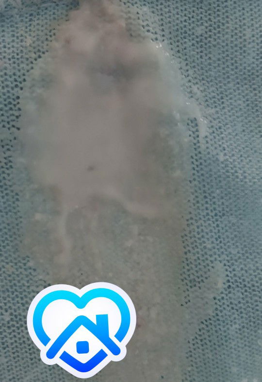 39week5w💓 #มีน้ำไหลออกมาขาวๆขุ่นๆ