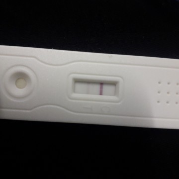 pregnnt
