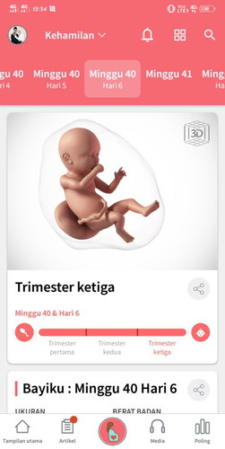 Hpl 31 mei