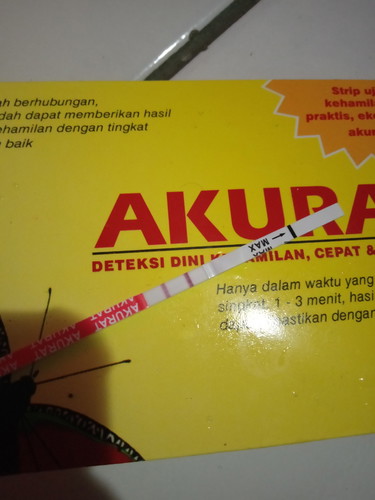 seputar kehamilan
