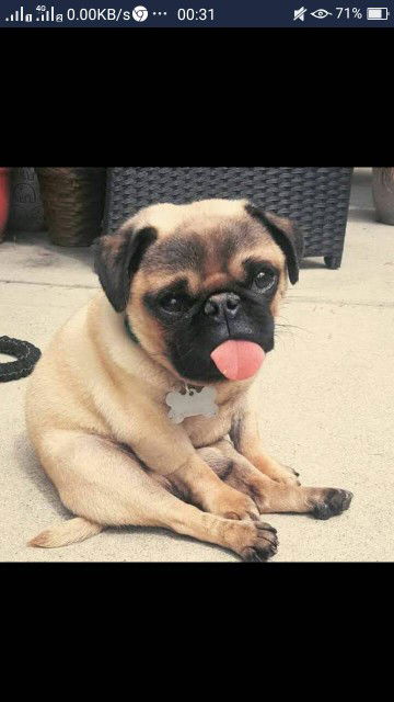 ฉันก็คือฉัน profile icon