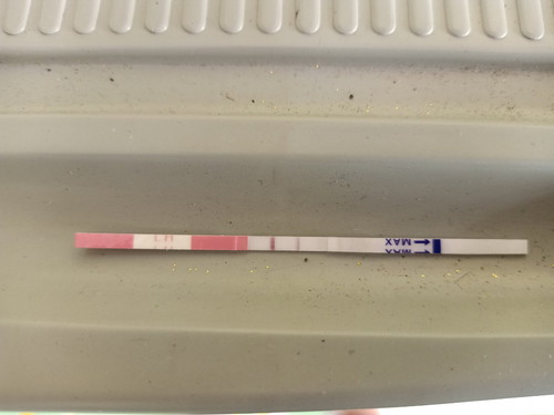 ovulation test strips