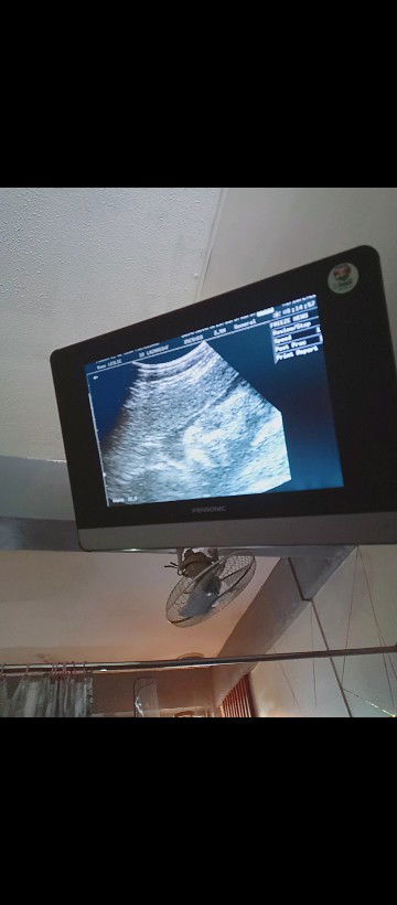 Leslie Escoton Andes profile icon